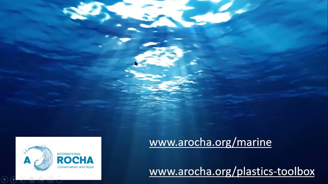 The Global Plastic Problem