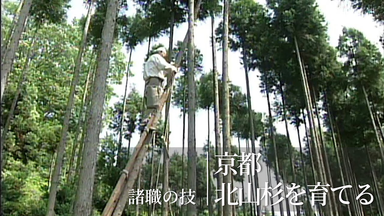 諸職の技『京都　北山杉を育てる』／竹中大工道具館ビデオライブラリー（Japanese version）
