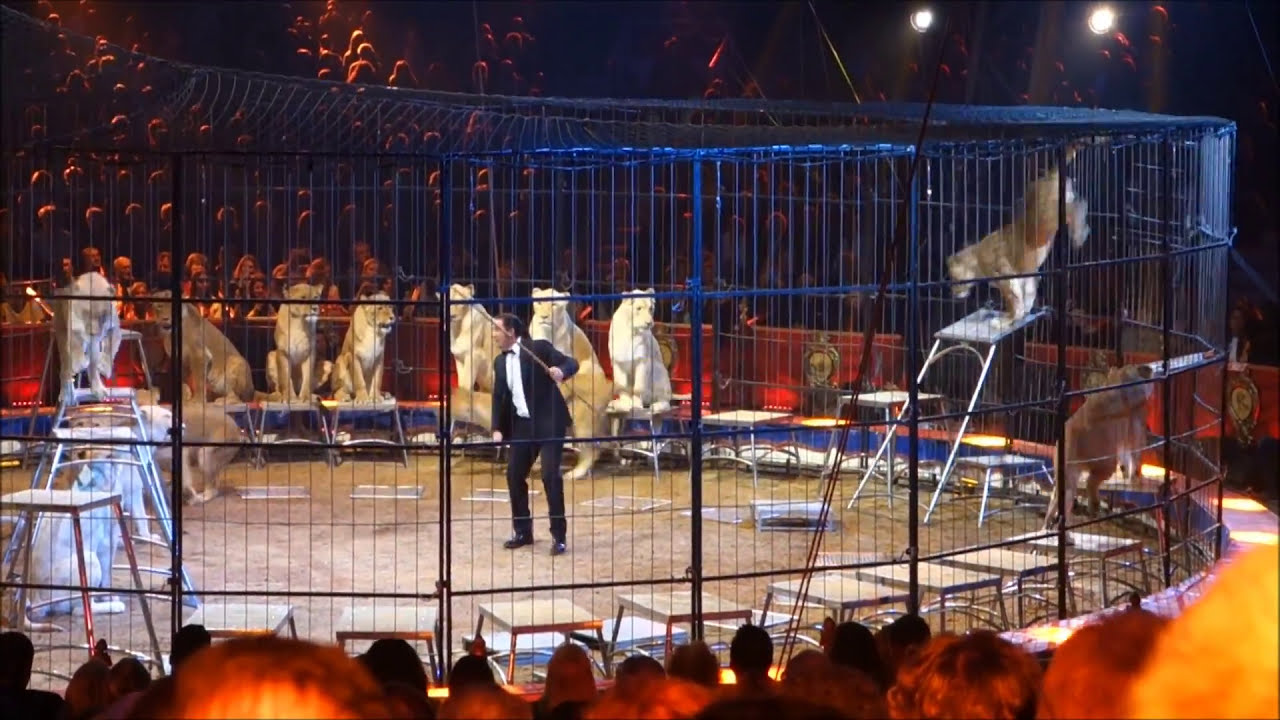 Martin Lacey's lions @ 40.e Festival du Cirque Monte Carlo 2016
