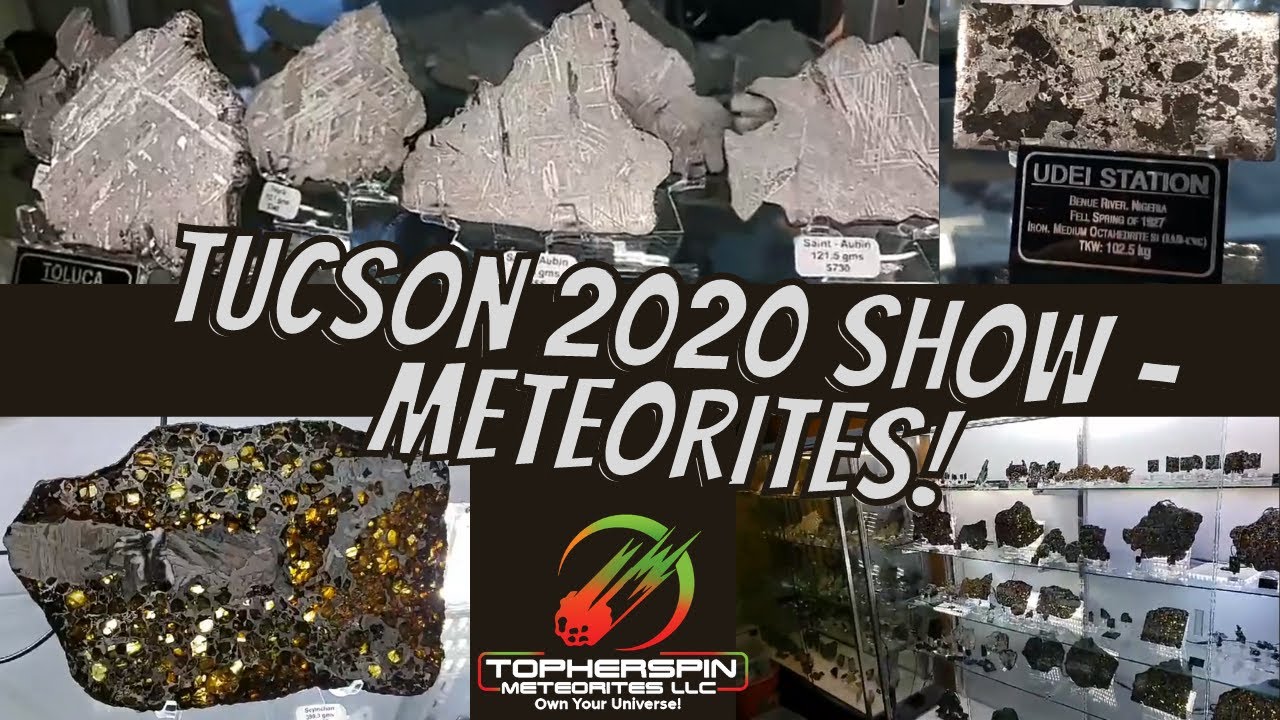 Buying Meteorites at Tucson Rock Gem Mineral Meteorite Show 2020 -LIVE Meteorite Tour