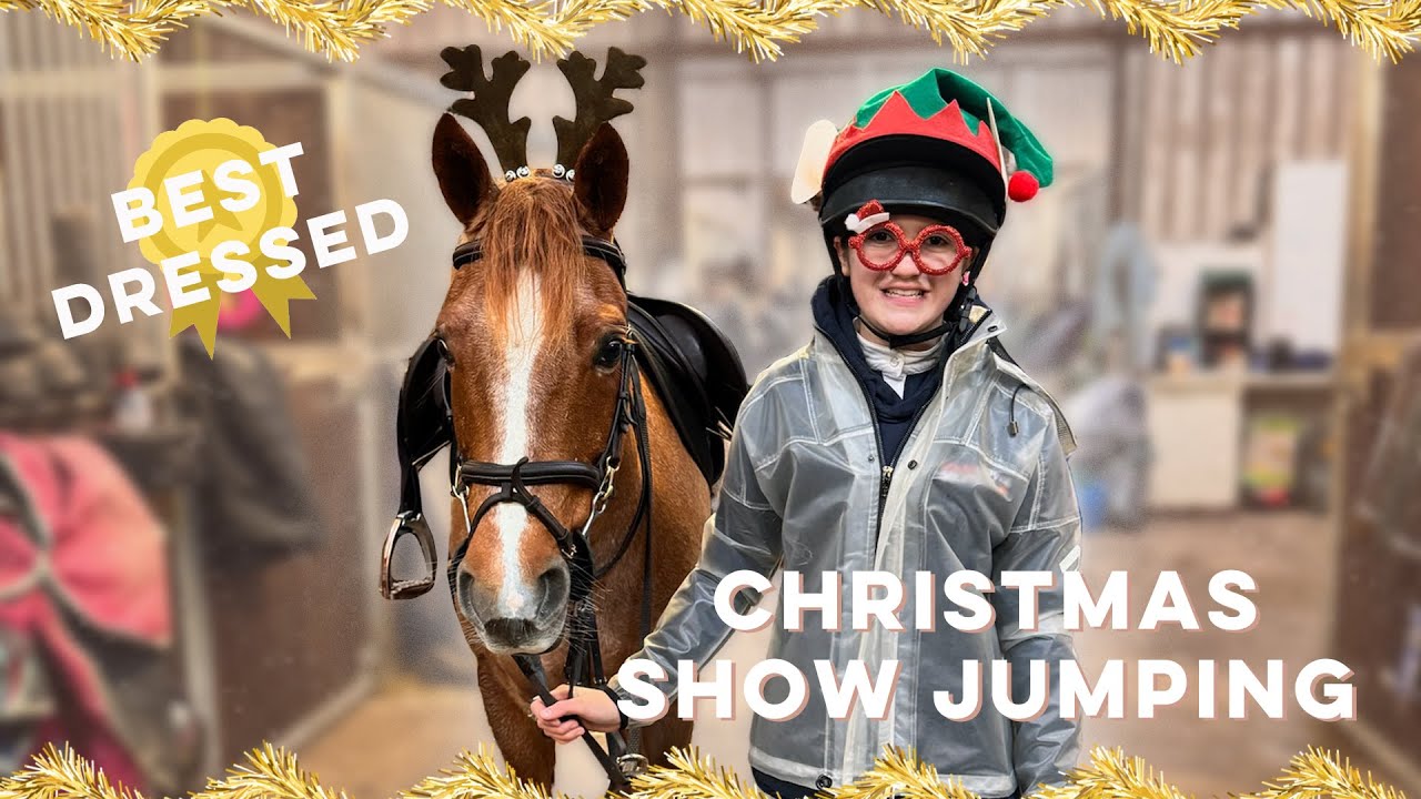 LEXI AND JINGLES DRESS UP FOR CHRISTMAS😂🎅🎄! Show Jumping Competition