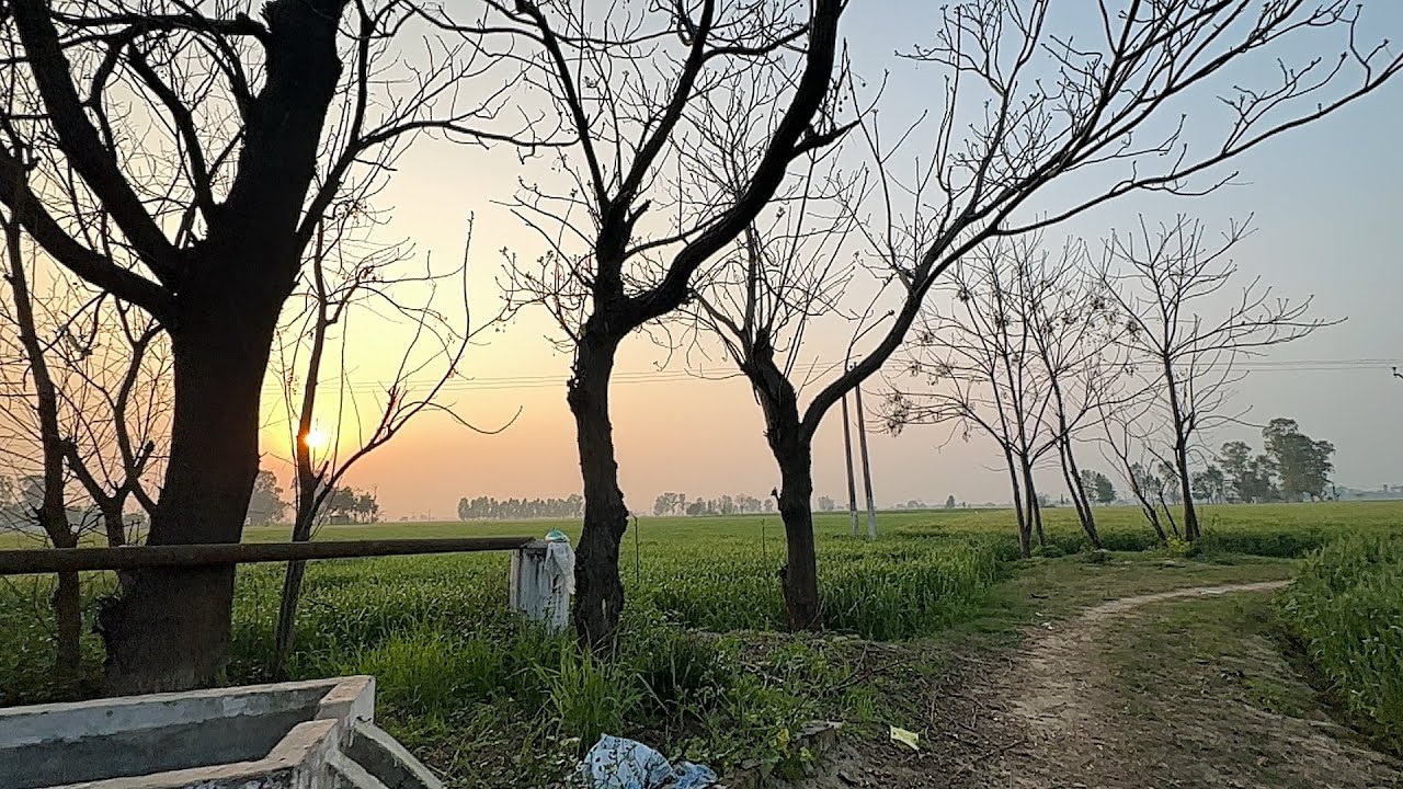  Vlog 13🚩 ਦੇਖੋ vlog।    #viral #trending #farming #trending #viral 