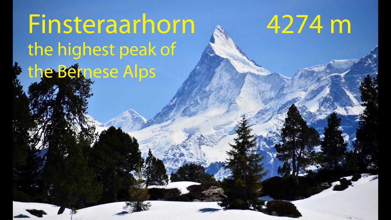 Finsteraarhorn ascent with skis Bernese Alps Switzerland