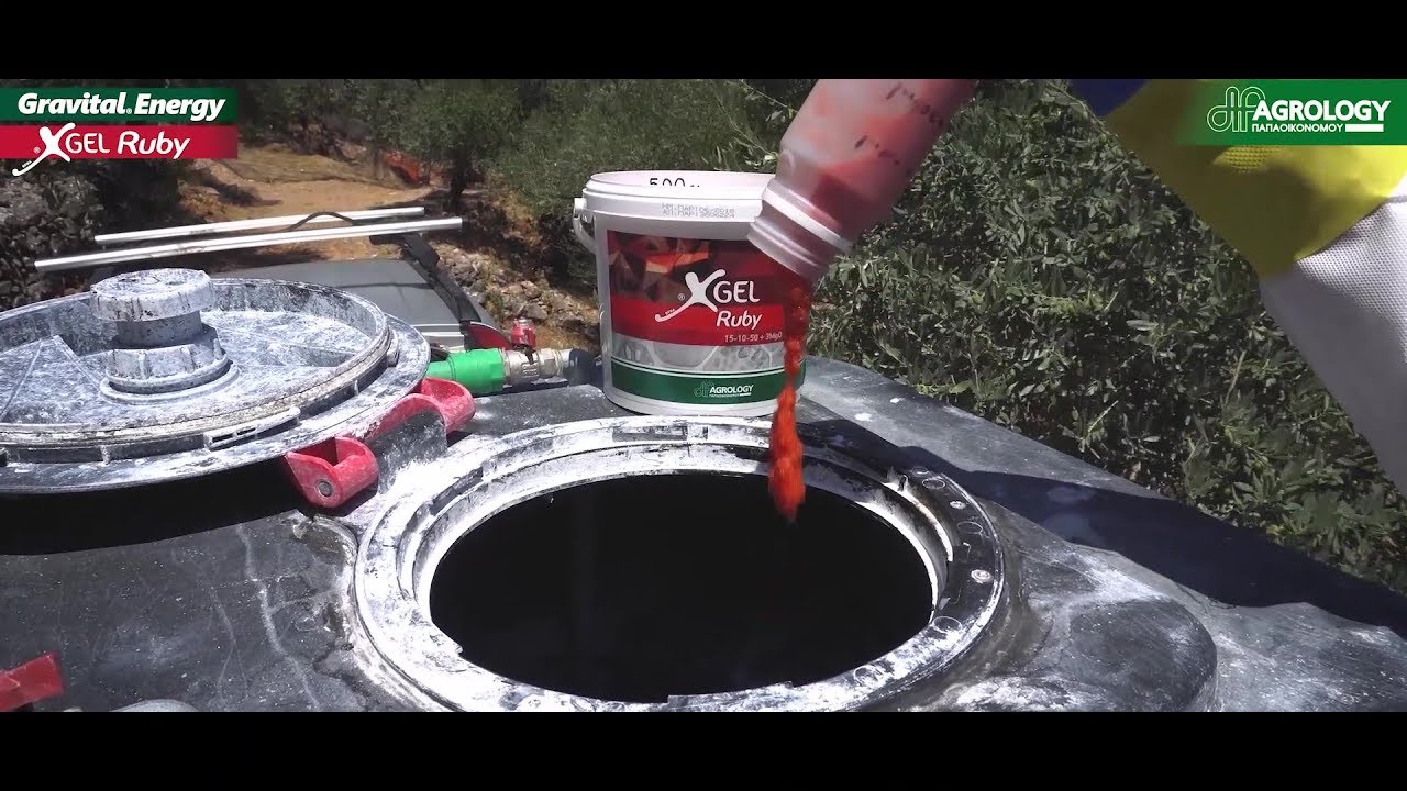 Agrology Success Stories: Gravital Energy & XGel Ruby στην Ελιά