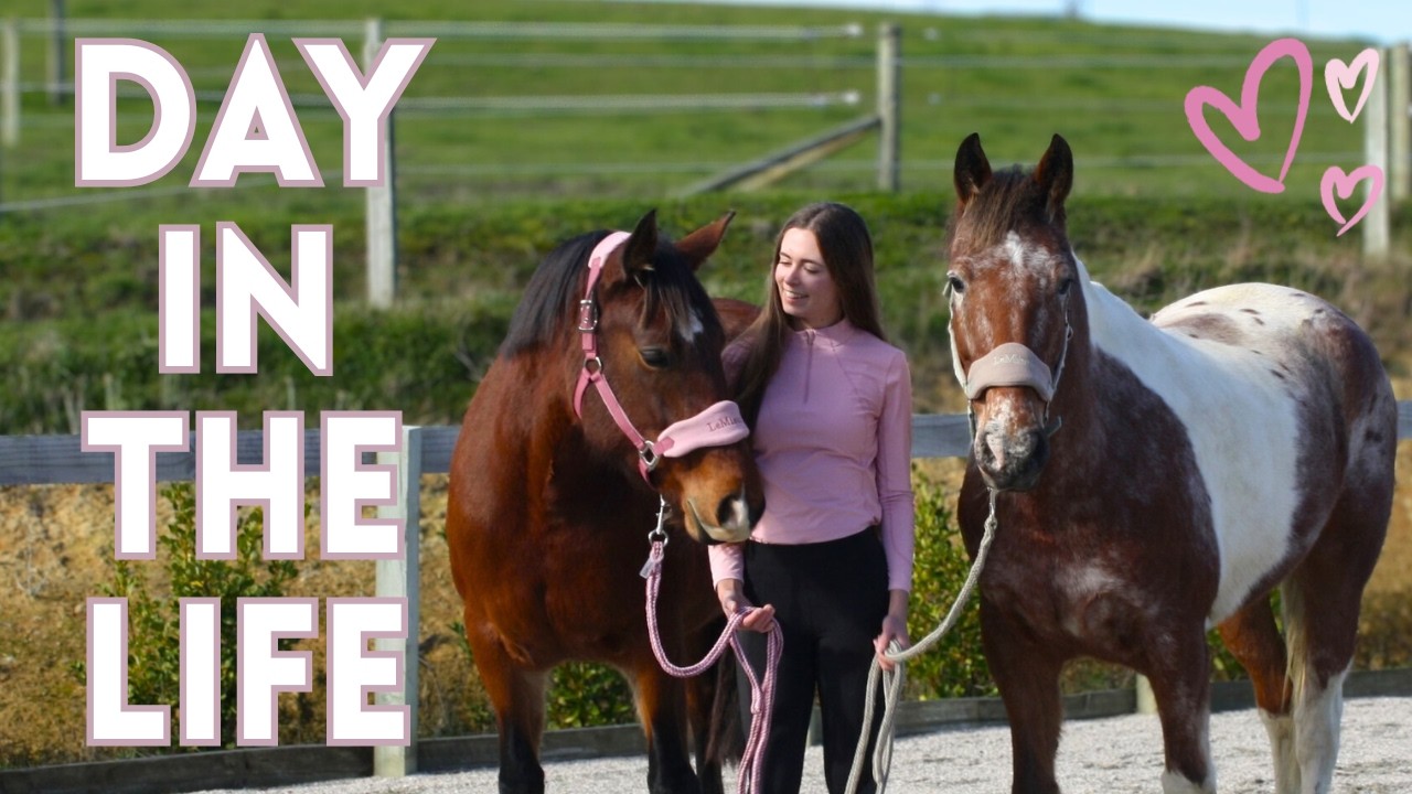 DAY IN THE LIFE IN NEW ZEALAND* shopping, working with my horses*