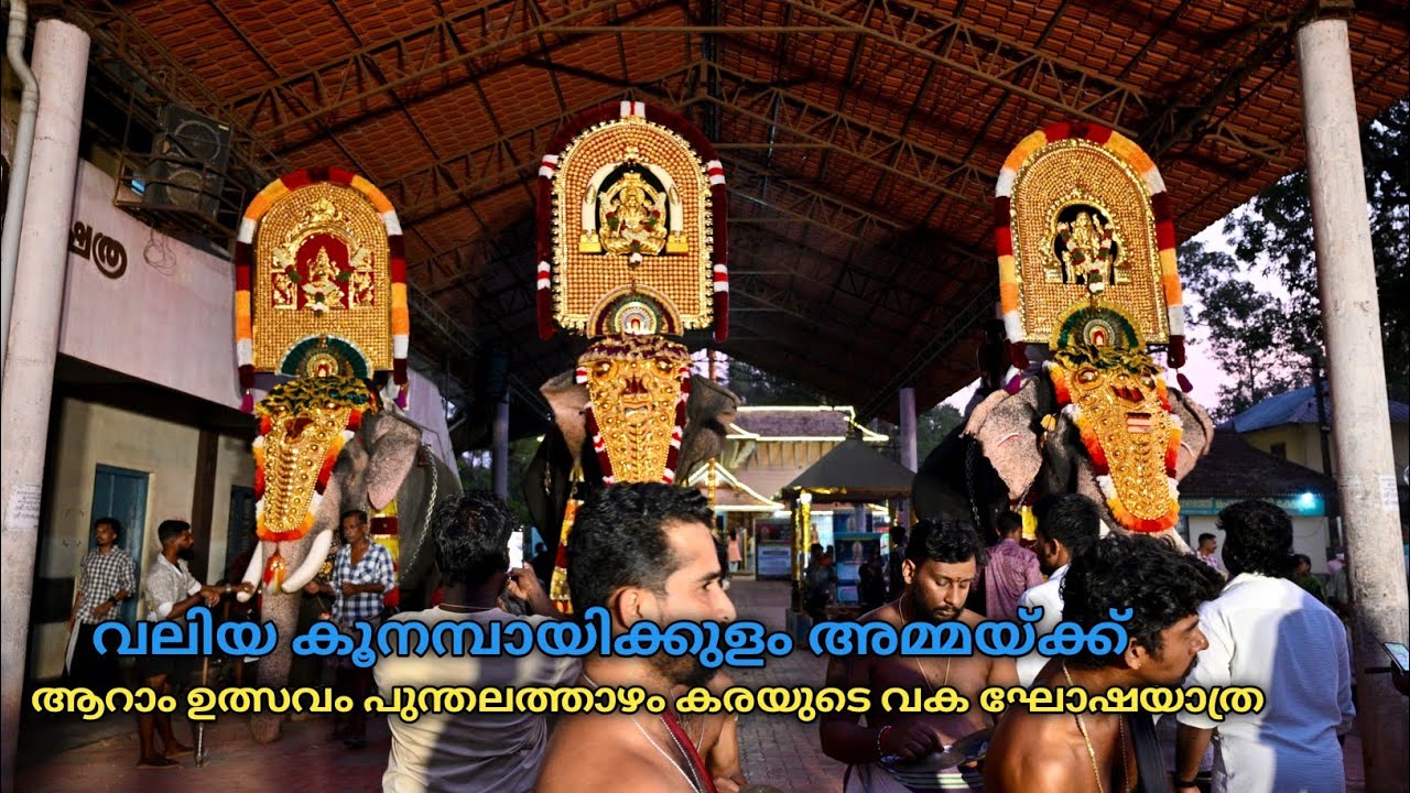 Valiya Koonambayikkulam Devi temple festival sixth day by Punthalathazham kara|
