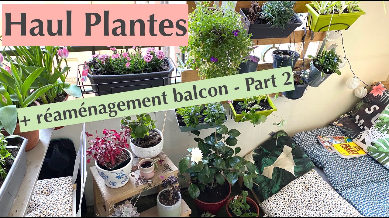 Haul Plantes + Réaménagement du balcon - Part 2
