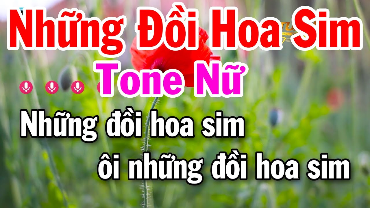 Karaoke Những Đồi Hoa Sim Tone Nữ ( La Thứ ) Nhạc Trữ Tình Dễ Hát 2026