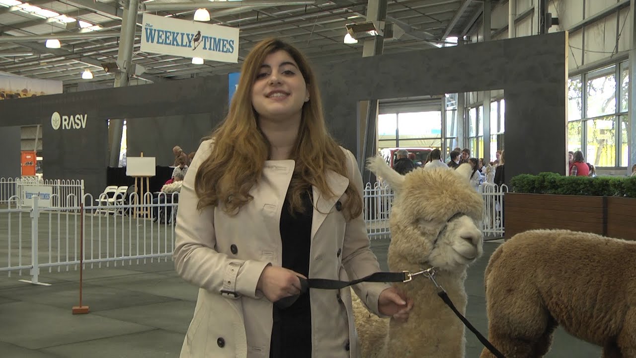 2015  Royal Melbourne Show - Day Five