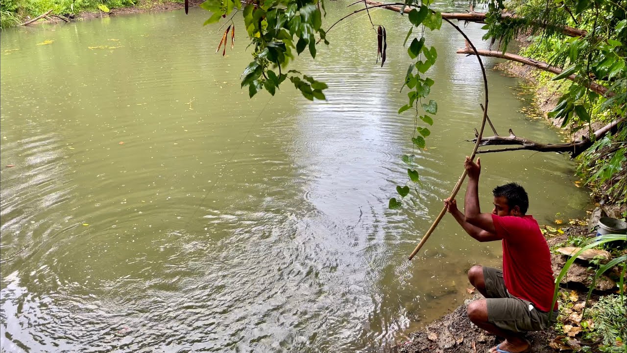 බිලි පිත්තෙන් අල්ල ගත්ත රොහොව්වා Sri lankan 🇱🇰fishing