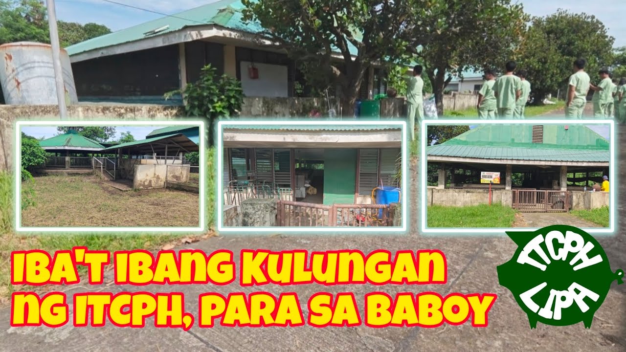 May mga Kakaibang Kulungan ng Baboy | Pagbisita sa ITCPH
