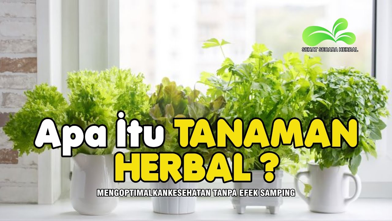 Apa Itu Tanaman Herbal ?