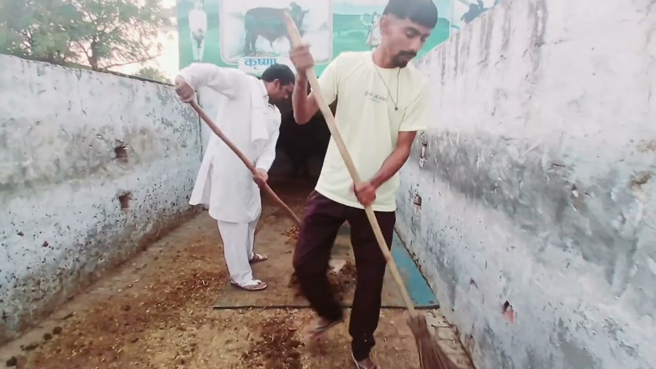 हमारे गांव की केशव गौशाला 🙏जय गऊ माता 