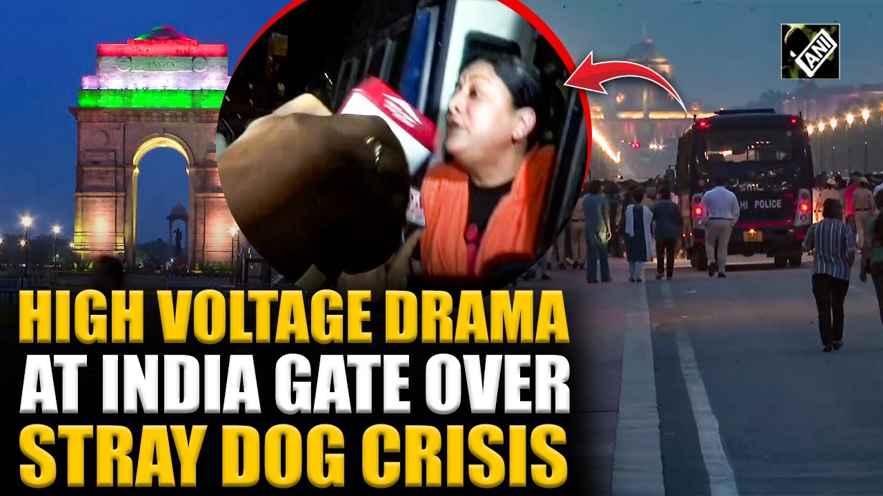 Supreme Court cracks down on stray dog crisis, massive protest at India Gate by pet owners