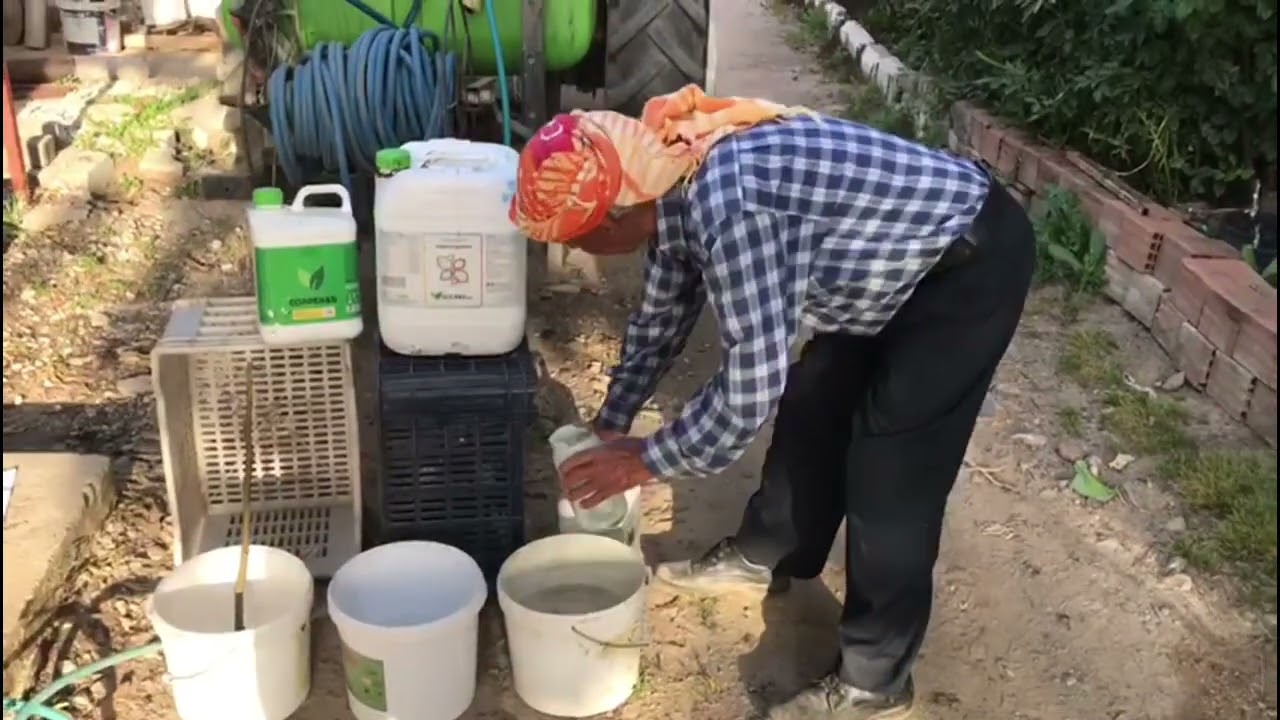 İncir ilaçlama