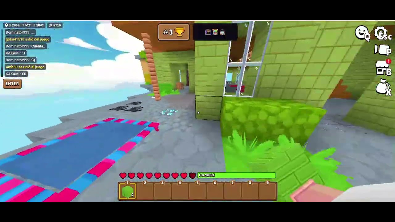 Sky Wars 9 XD