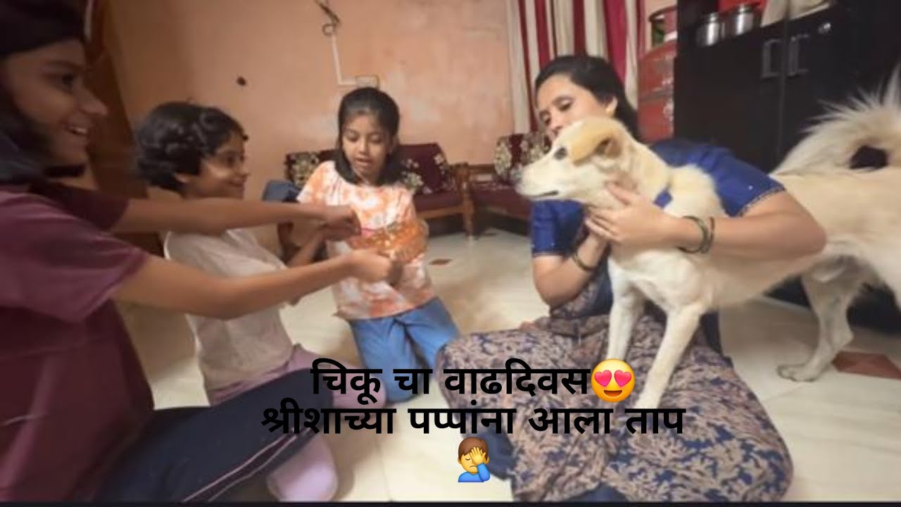 चिकू चा वाढदिवस 😍 श्रीशाच्या पप्पांना आला ताप 🤦‍♂️#bailgada sharyat