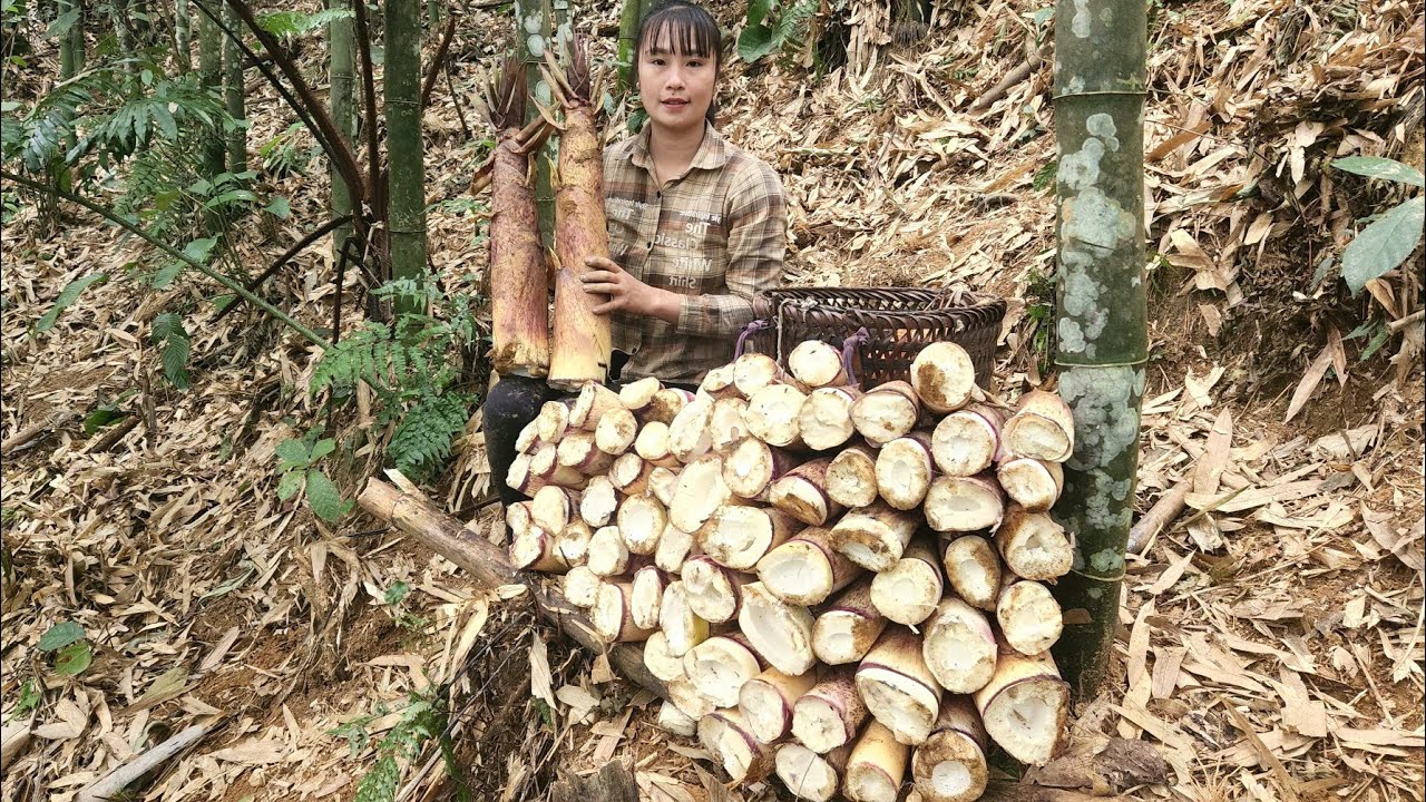 Full Video: Picking wild vegetables, taking bamboo shoots and tubers to bring to the market to sell