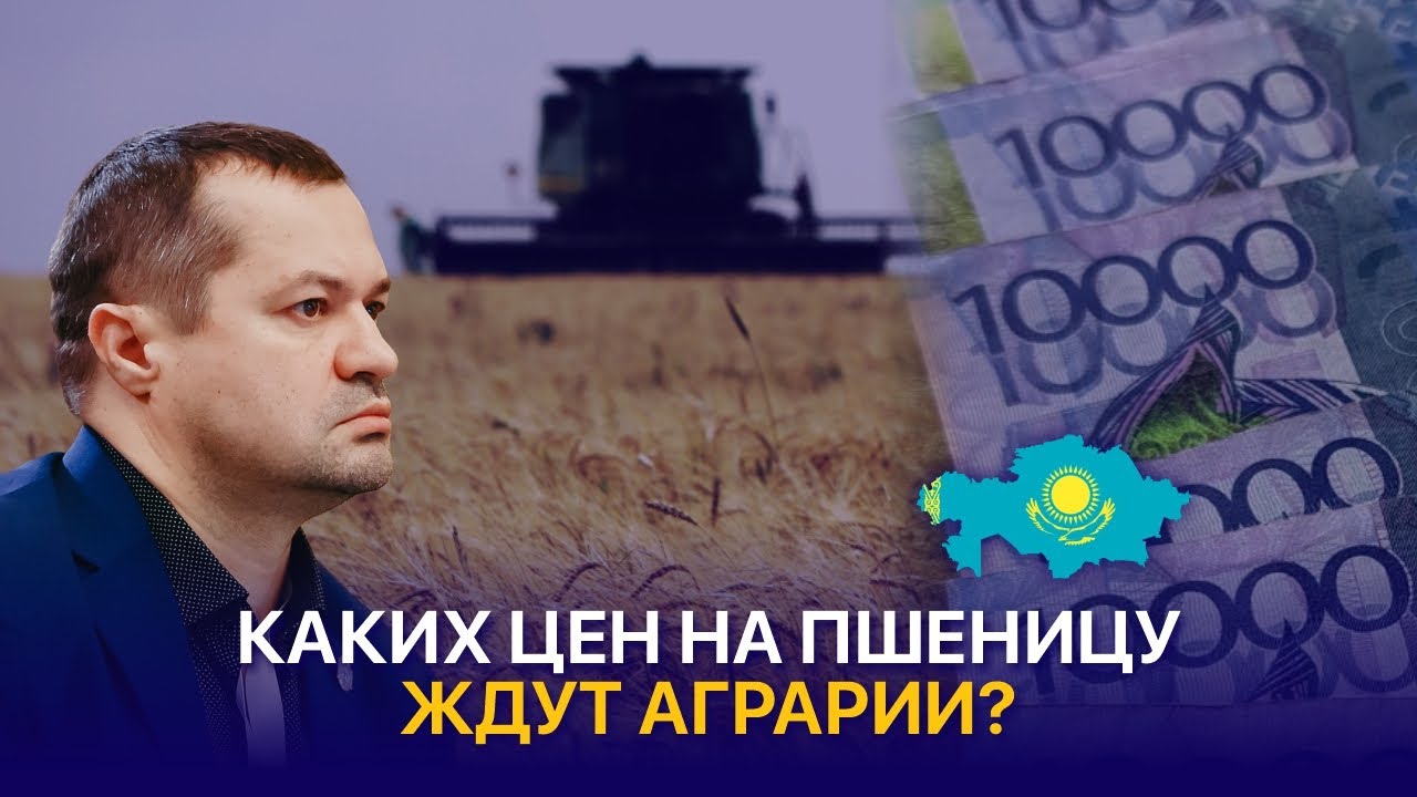 Себестоимость пшеницы нового урожая, цены на зерно и старт уборочной в Казахстане
