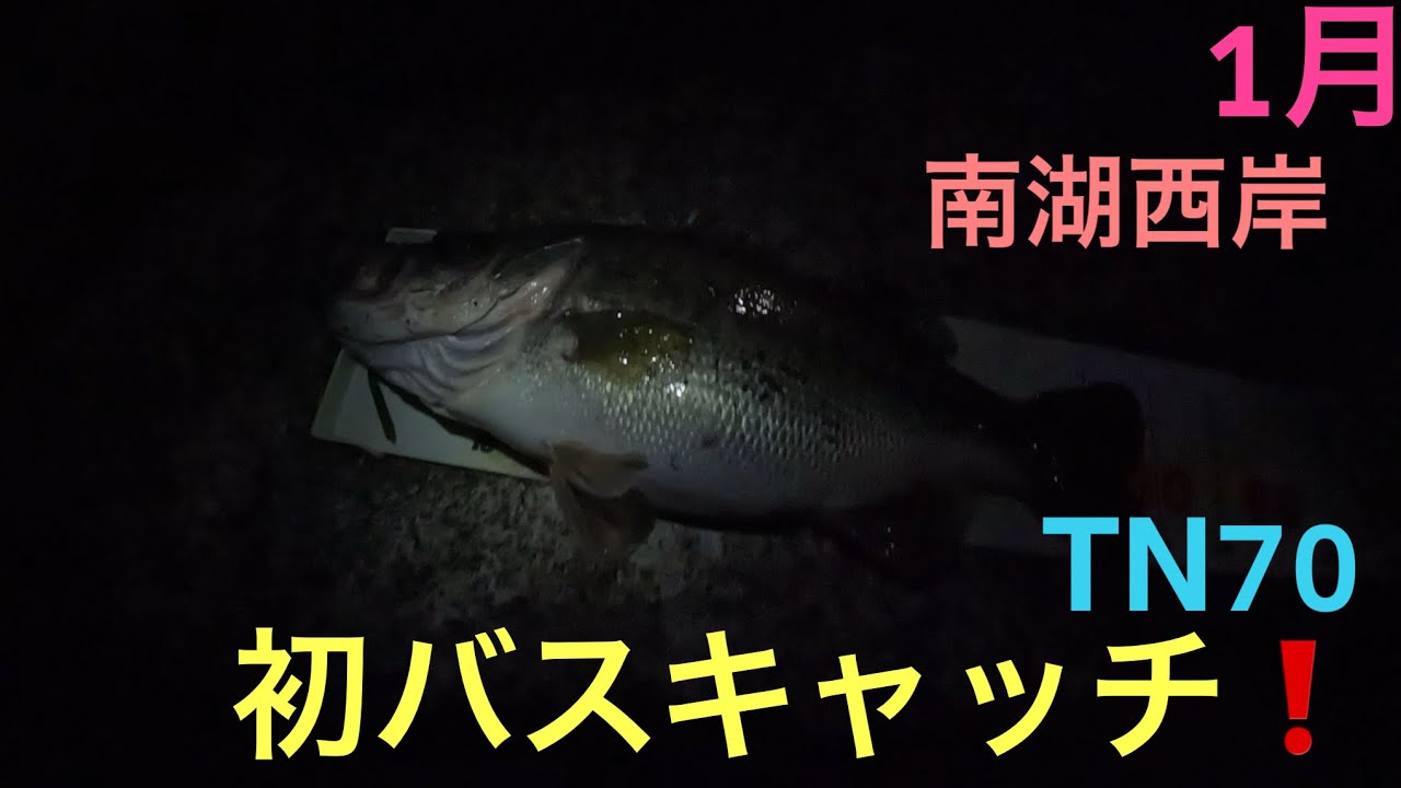 【バス釣り】2026年初バス❗️バイブレーションただ巻き❗️琵琶湖