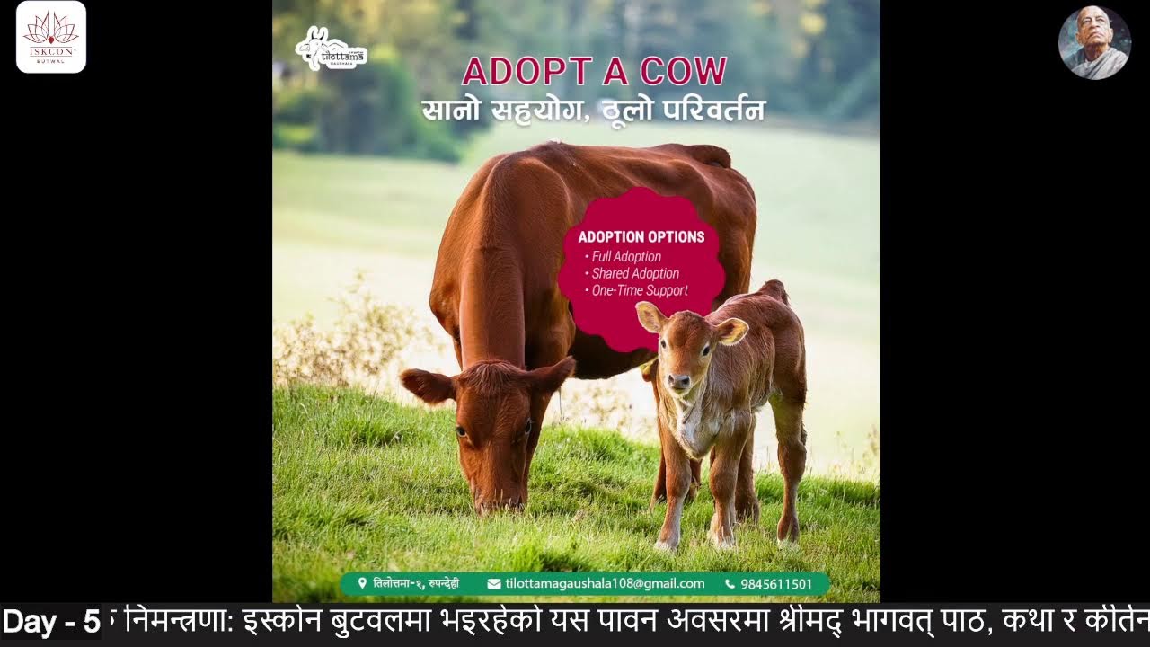 पाँचौ-दिन कथा सत्र| श्रीमद् भागवत् सप्ताह २०८२ कालिकानगर बुटवल