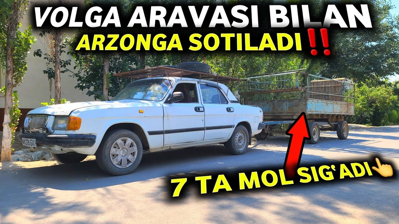 ВОЛГА 3110+УЗУН АРАВАСИ БИЛАН АРЗОНГА СРОЧНО СОТИЛАДИ! МОЛ ҚЎЙ ТОШИГАНИ ЗЎР!