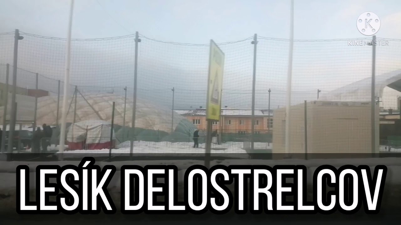 MHD Prešov, Linka 35: Delňa - Širpo