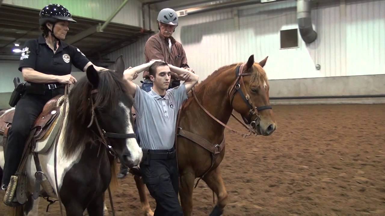 2015 Mounted Patrol School Highlights