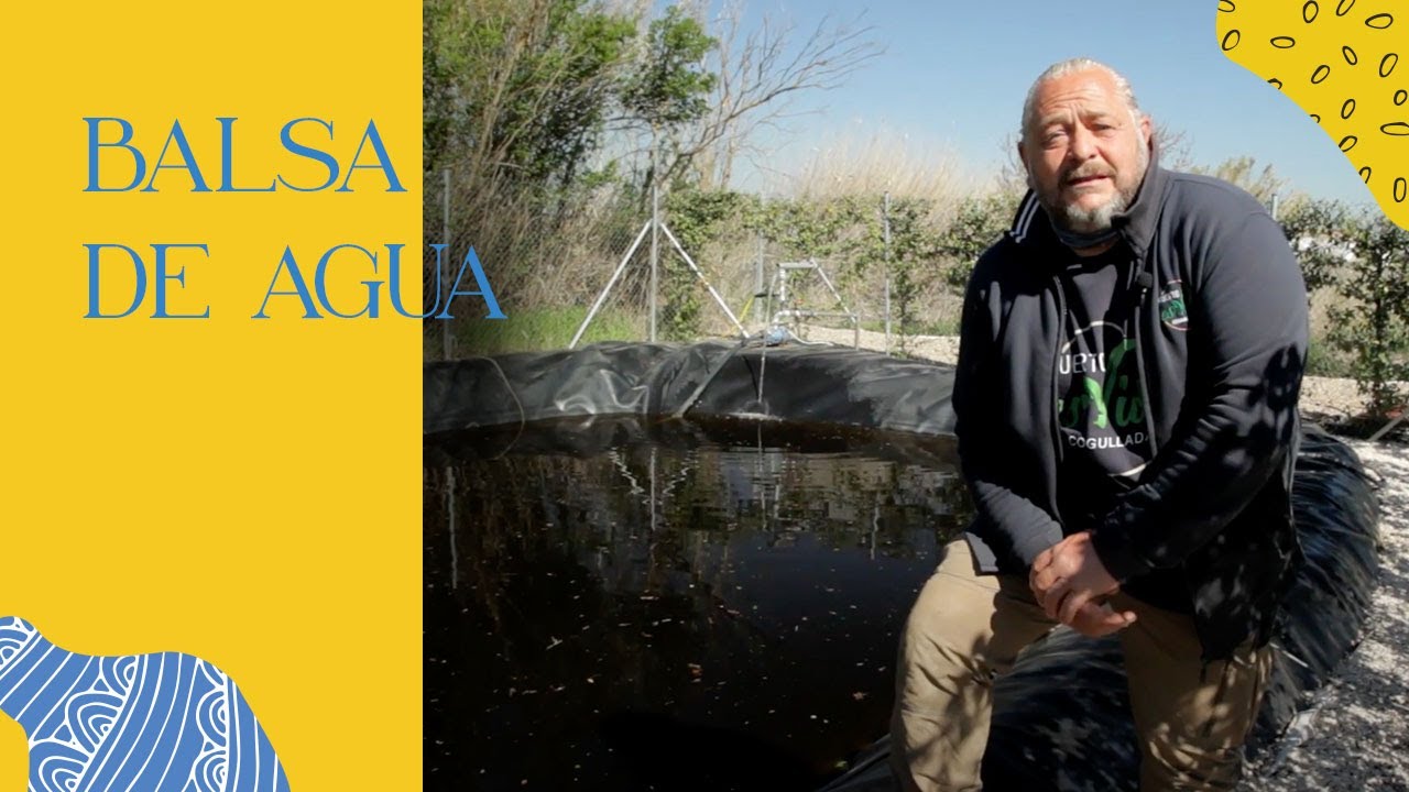Qué DIMENSIONES y SEGURIDAD debe tener la BALSA DE AGUA para regar