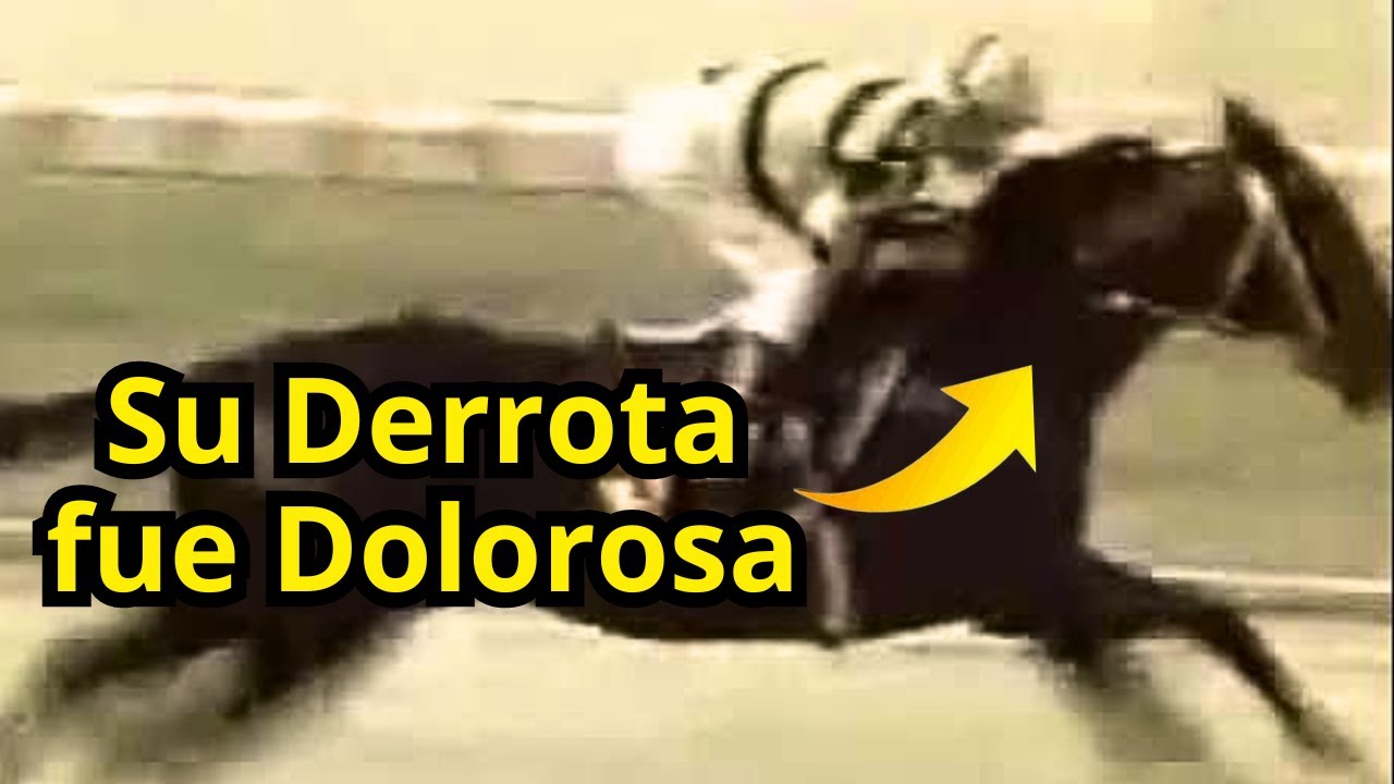 Lo mejor de la TRIPLE CORONA de los años 1994 y 1995 ¿Por qué CLEVER DANCER Perdió la Corona?