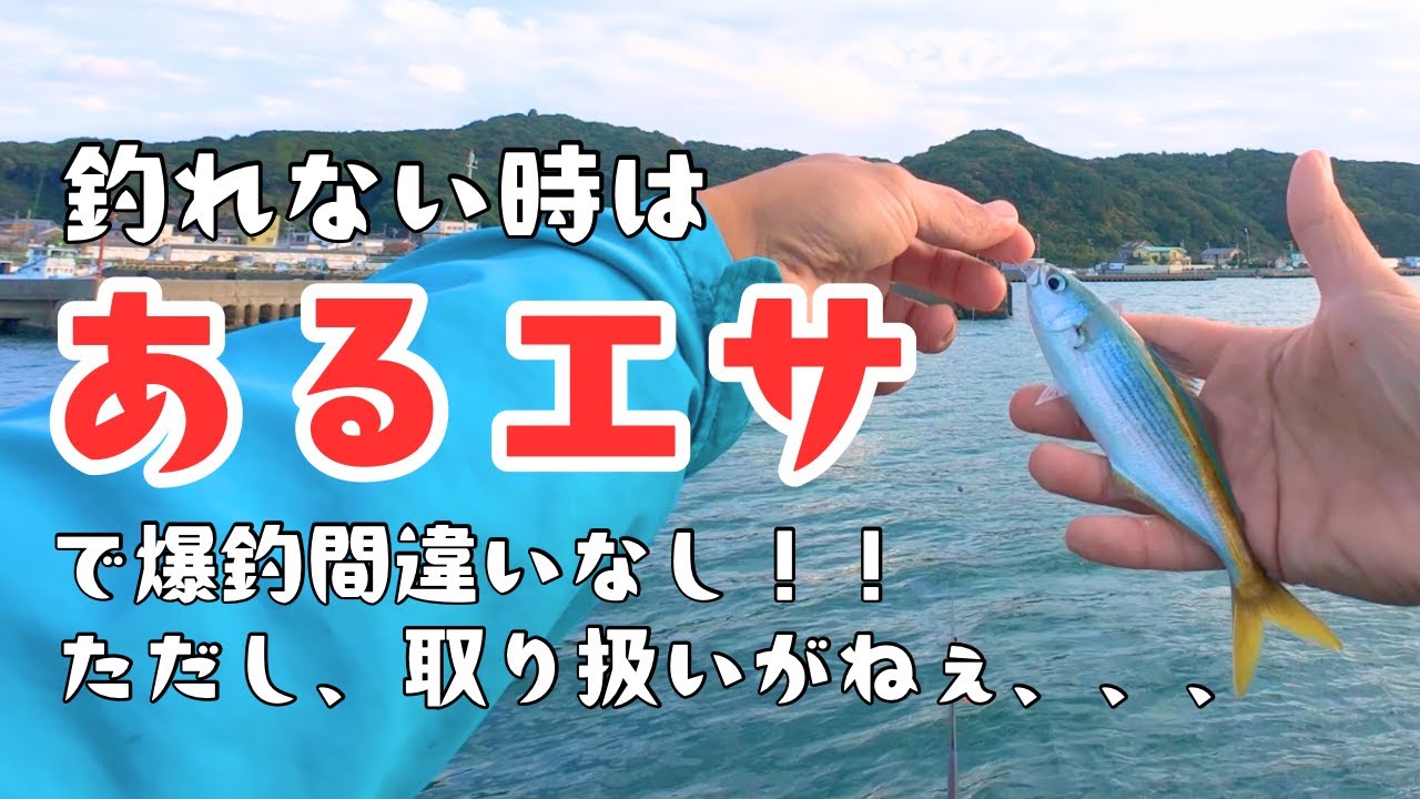 釣れない時でもこのエサを使えばバシバシ釣れる！ただし取り扱いがちょっとね、、、、