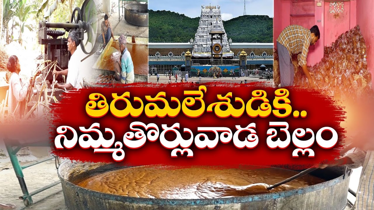 వెంకన్న ప్రసాదం తయారీకీ సిక్కోలు స్వచ్ఛమైన బెల్లం | Pure Jaggery in TTD Prasadam | From Srikakulam
