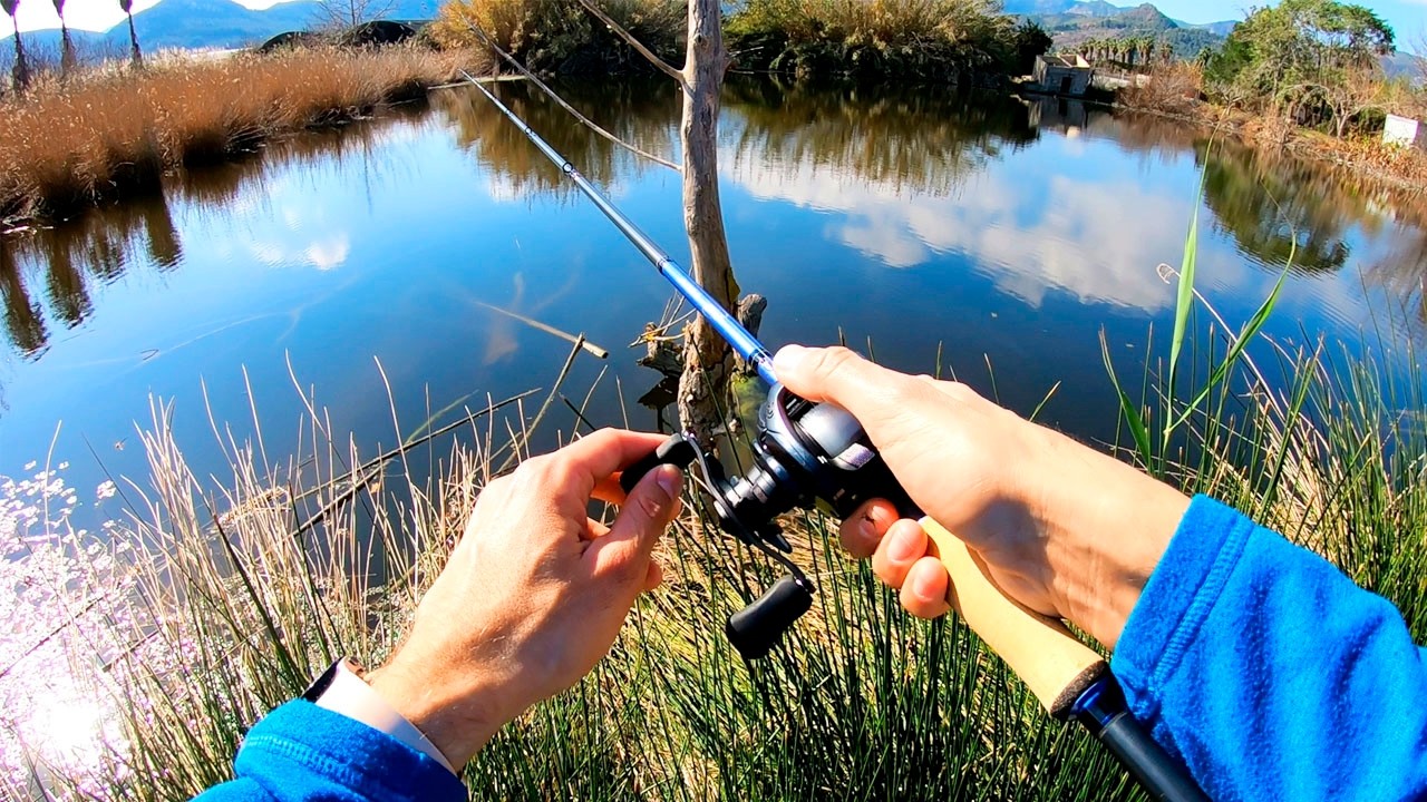 🎣 **PESCA de BLACK BASS en Invierno | Pescando Desde ORILLA**