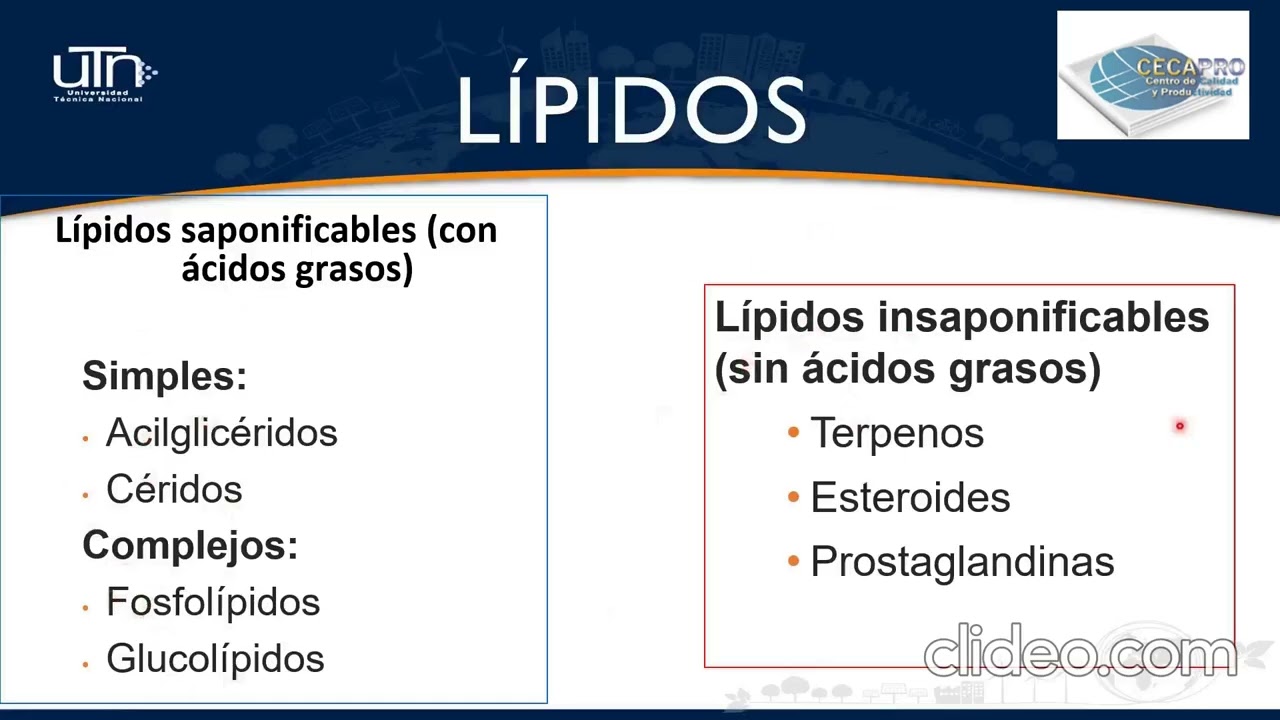 Lípidos parte 1
