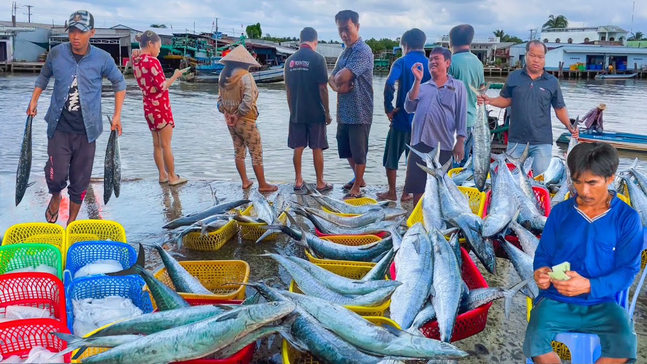 Vợ Chồng Đi Biển Tr&uacute;ng M&aacute;nh C&aacute; Thu Kiếm H&agrave;ng Chục Triệu║Biển Kh&aacute;nh Hội C&agrave; Mau M&ugrave;a B&ocirc;ng Sậy
