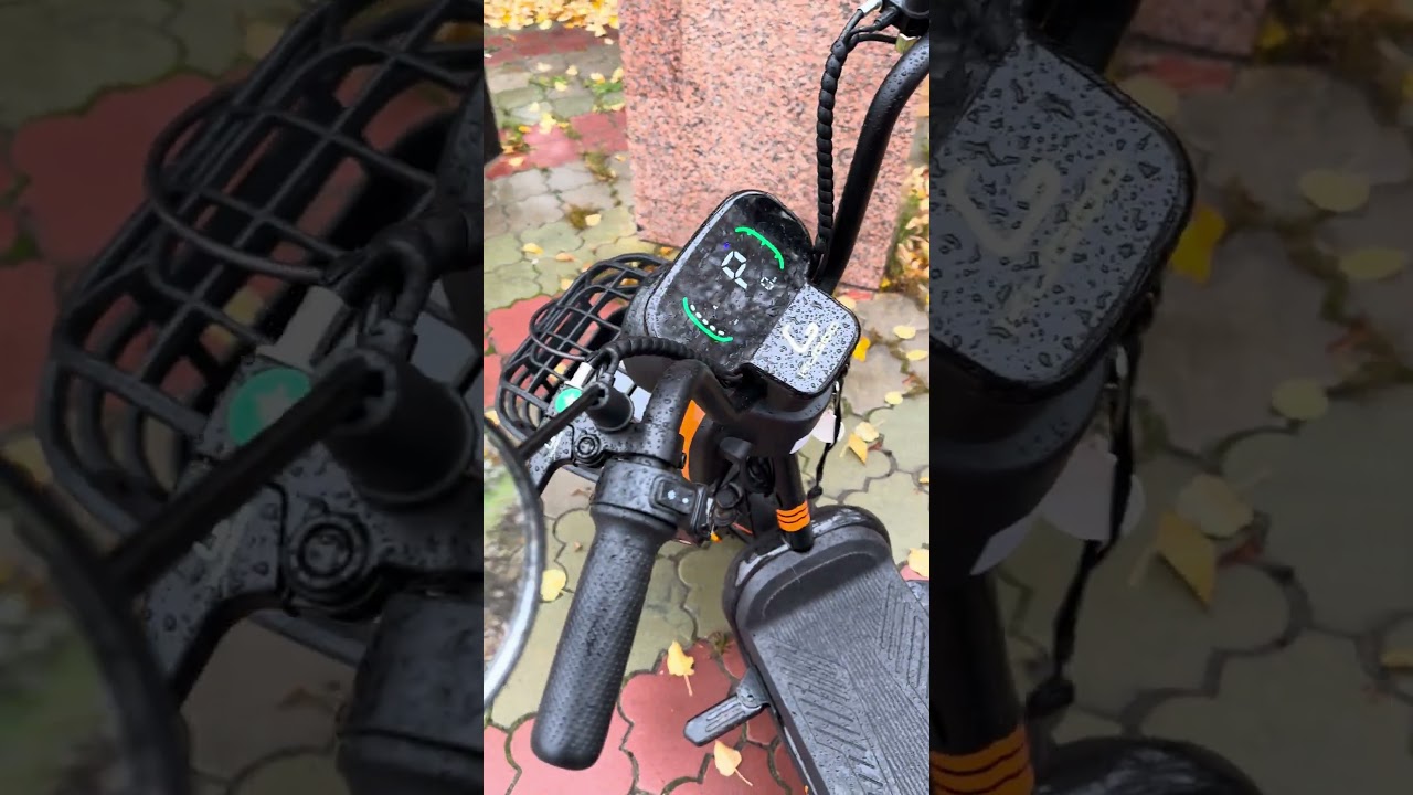 Kugoo ec 03 спустя 3 месяца