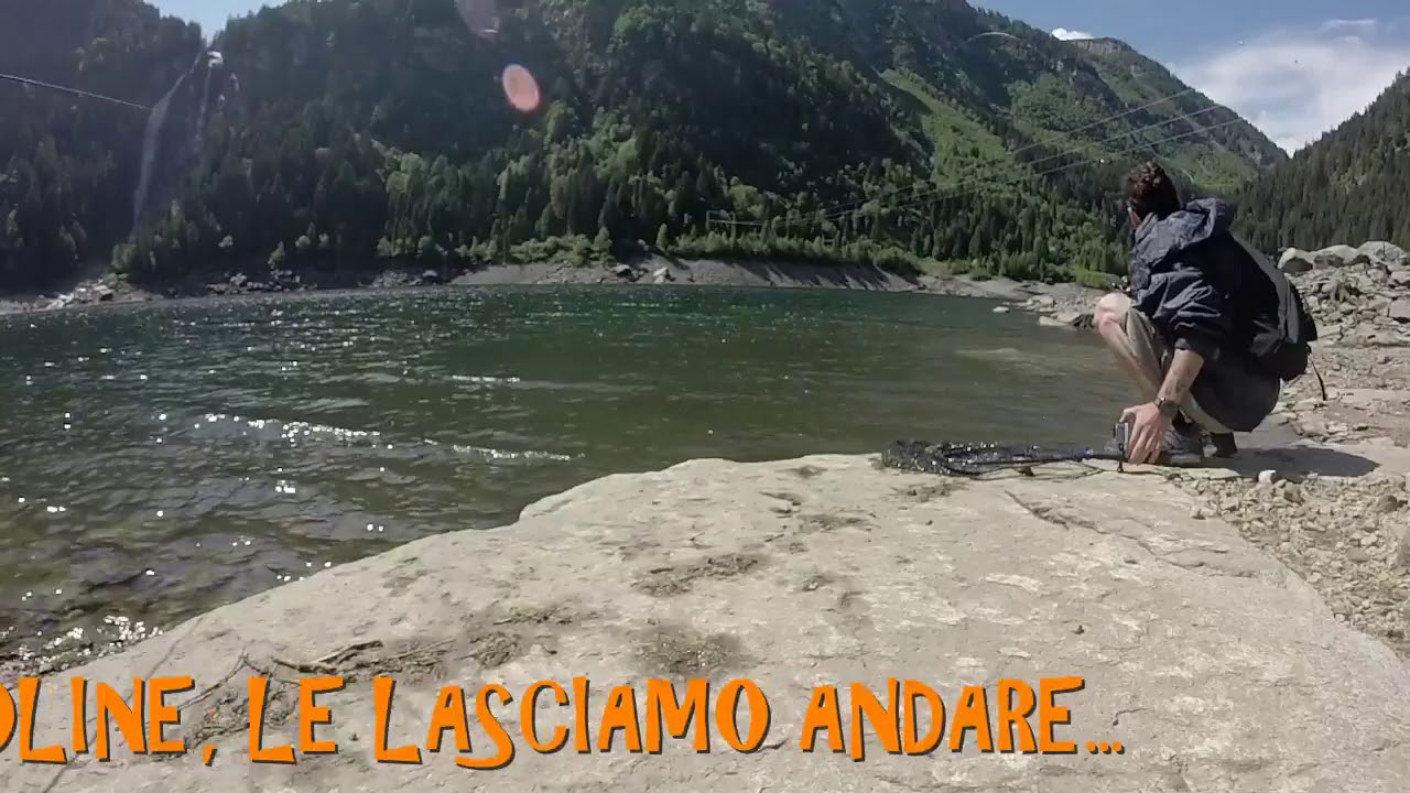 A Spinning in val Daone