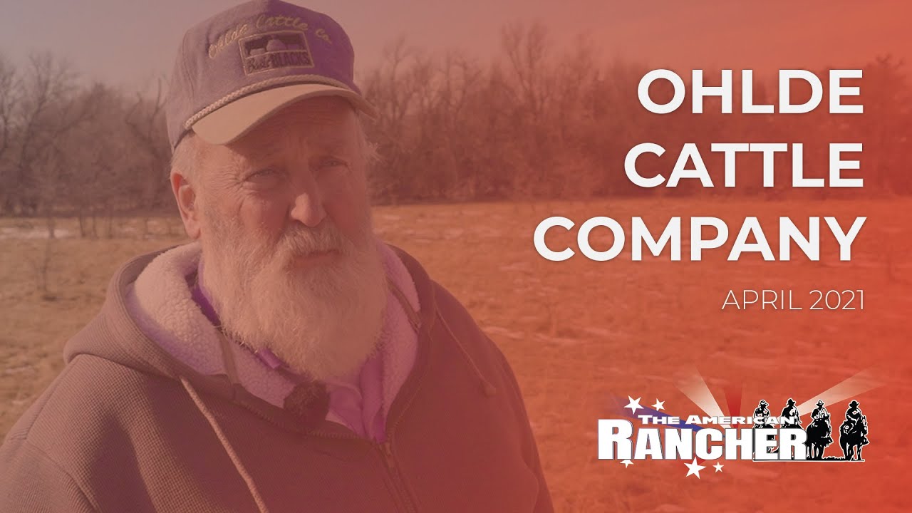 Ohlde Cattle Company | The American Rancher