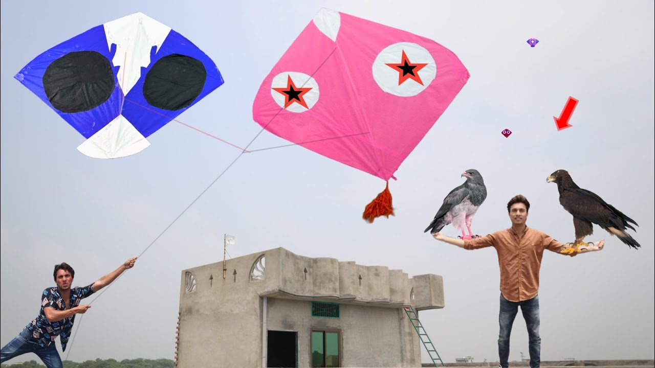 Kite Cutting Challenge Vs New Eagle Buy Abubakar