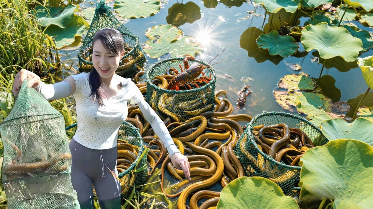 50元“收买”摩的师傅大哥，找一大片荒野塘，究竟是赚是亏？【文杰吖】