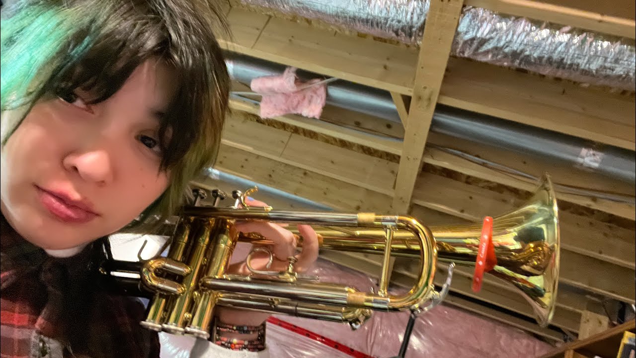 Part 448 of me practicing the trumpet every day for the rest of my life