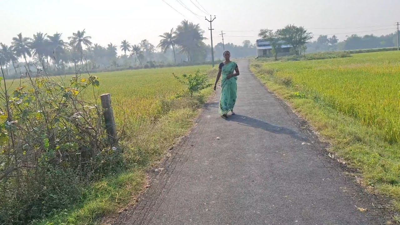 எங்க வீட்டு வயலுக்கு போறோம் 🌾 /Gramathu marumagal priya 