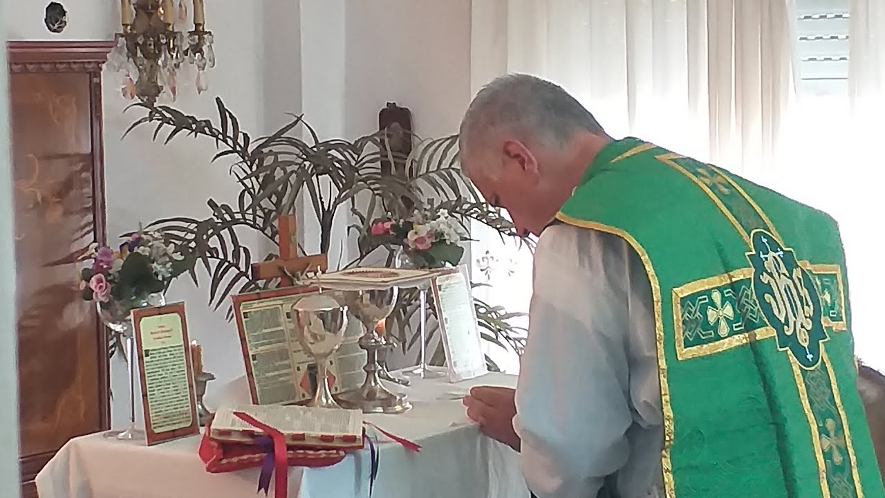CONSEJOS PARA EVITAR CAER EN EL FALSO #tradicionalismo  - P. Julián Espina. (ver descripción) #misa 