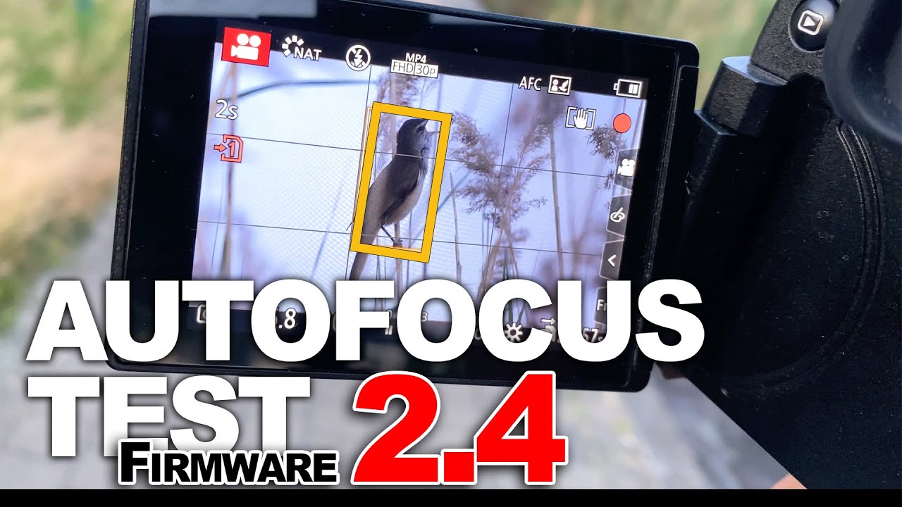 Panasonic Lumix G9 Firmware Version 2.4 - Video Test