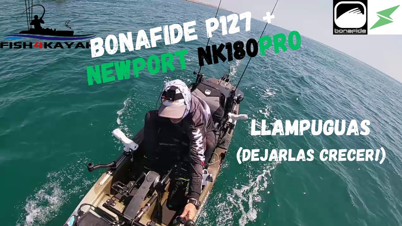 Plataforma de pesca Bonafide P127 + Nuevo Newport NK180pro