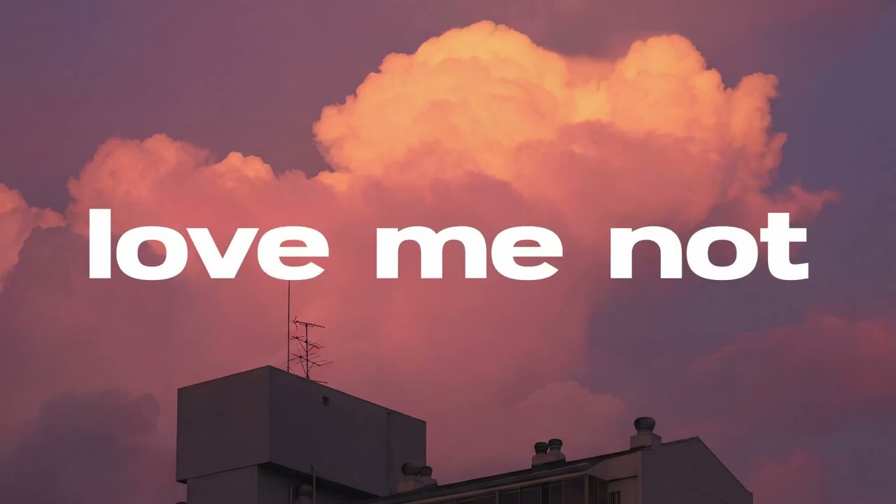Love Me Not - Ravyn Lenae (The Otherdays Cover Official Lyrics Video)