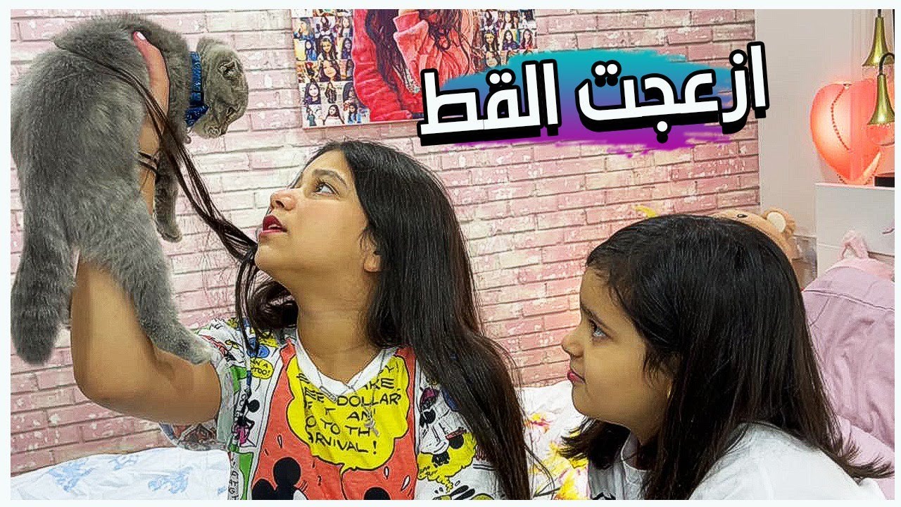 منى ازعجت قط نور ميكو 🐱