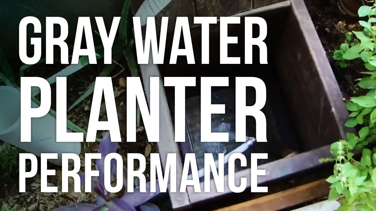 Gray Water Planter Performance