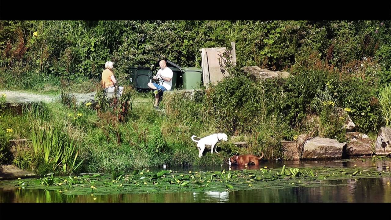 Pilley's Hidden Oasis