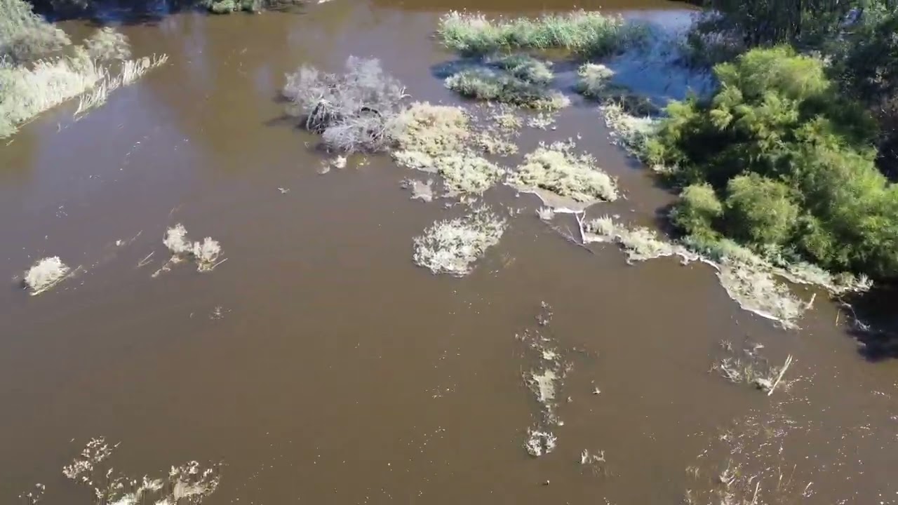 Big4 Renmark Floods 8/12/22